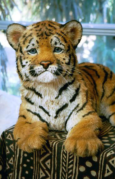 Newborn Tiger, by Anne Andersson