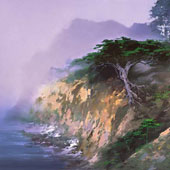 Big Sur Cypress, by H Leung