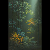 Forest Light, by Richard Leung