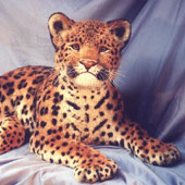 Mini Leopard Cub